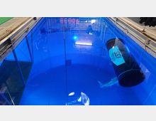 Ansicht eines großen, runden Indoor-Tauchbeckens mit bläulicher Beleuchtung, einer Tauchröhre mit SSI-Logo und einem Modell eines Hais im Wasser. Im Hintergrund sind Ziegelwände und einige Ausrüstungsgegenstände sichtbar.