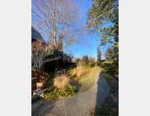 Ein sonniger Gartenweg mit Pflastersteinen und angrenzenden Beeten, die von trockenem Gras und kahlen Bäumen umgeben sind. Links ist ein Teil eines Hauses mit Ziegeldach und einem Topf mit Pflanzen sichtbar, rechts stehen dichte immergrüne Bäume.