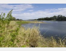Flusslandschaft mit einer flachen, bewachsenen Uferzone und klarem Wasser; im Hintergrund sind Bäume und eine Person am Wasser zu sehen, während am Himmel leichte Bewölkung herrscht.
