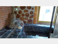 Innenansicht eines kleinen Raumes mit einem steinernen Wasserbecken und einer Zierquelle an der Wand. Die Wand ist mit Holzelementen und roten Ziegeln gestaltet, und ein großes Fenster lässt Tageslicht herein.