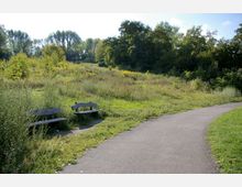 Ein Park mit einer geschwungenen asphaltierten Wegführung, umgeben von grasbewachsenen Flächen und dichtem Bewuchs im Hintergrund. Zwei Holzbänke stehen links neben dem Weg in einer von Wildwuchs umgebenen Stelle.
