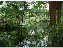 Ein Indoor-Garten mit dichtem, grünem Pflanzenbewuchs und einem kleinen Teich, der von Holzstegen und Bambuselementen umgeben ist. Im Hintergrund sind eine mit Efeu bewachsene Wand und weitere tropische Vegetation zu sehen.