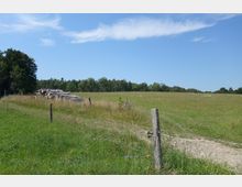 Weite Wiese mit hohen Gräsern und einem kleinen Stapel Baumstämme am Rand, umgeben von einem Holzzaun mit Draht. Im Hintergrund sind Bäume und ein klarer blauer Himmel mit dünnen Wolken sichtbar.