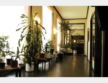 Ein länglicher Innenraum mit großen Fenstern auf der linken Seite, durch die helles Licht einfällt. Entlang der Fenster stehen zahlreiche Topfpflanzen unterschiedlicher Größe auf Tischen und Bänken, während der Boden mit dunklen Fliesen belegt ist.