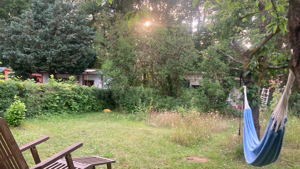 Grüner Garten mit Rasenfläche, dichtem Busch- und Baumbestand; im Vordergrund stehen Holzstühle, rechts hängt eine Hängematte an einem Baum. Im Hintergrund sind niedrige Gebäude teilweise hinter Hecken und Bäumen sichtbar, mit Sonnenlicht, das durch das Laub fällt.