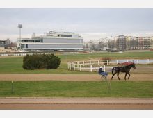 Pferderennbahn mit einer weitläufigen Wiese und Sandbahn im Vordergrund. Ein Fahrer lenkt ein Pferd mit Sulky, während im Hintergrund ein modernes, mehrstöckiges Gebäude und Wohnhäuser sichtbar sind.