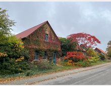 Backsteinhaus mit roten Dachziegeln, dessen Fassade von herbstlich gefärbtem Efeu überwuchert ist, neben einem Gehweg. Im Vorgarten steht ein Baum mit leuchtend roten Blättern, umgeben von weiteren Sträuchern und Bäumen.