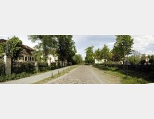 Eine Kopfsteinpflasterstraße führt durch eine von Bäumen gesäumte ländliche Umgebung mit historischen Wohnhäusern und Zäunen auf beiden Seiten. Im Hintergrund sind weitere Bäume und vereinzelte Gebäude zu sehen, bei hellem Tageslicht.