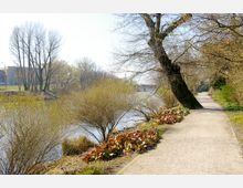 Uferweg mit kahlen Bäumen und Sträuchern entlang eines Flusses, mit vereinzeltem Laub auf dem Boden und einer Wiese im Hintergrund. Der Weg ist von Pflanzen gesäumt, und im Hintergrund ist ein Gebäude erkennbar.