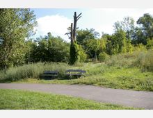 Eine parkähnliche Landschaft mit zwei Holzbänken am Rand eines asphaltierten Wegs, umgeben von grünen Wiesen, Bäumen und einem toten Baumstamm, der von Kletterpflanzen bewachsen ist. Im Hintergrund dichte Vegetation und lockere Baumgruppen.