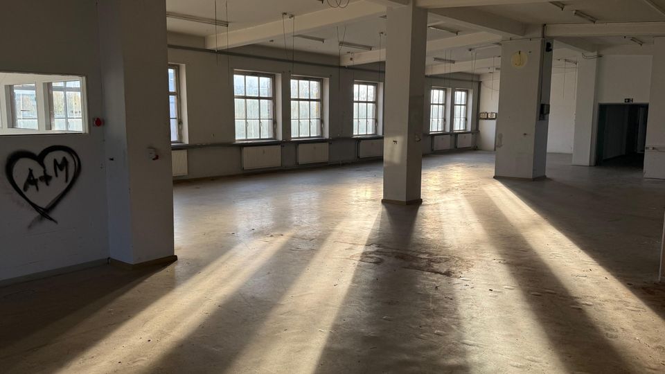 Großer, leerer Industrie- oder Lagerraum mit Betonstützen, hohen Decken und Reihen von Sprossenfenstern, durch die Sonnenlicht lange Schatten auf den Boden wirft. An den Wänden sind Heizkörper und teilweise freihängende Kabel zu sehen.