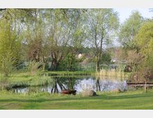 Grüne Landschaft mit einem kleinen Teich, umgeben von Bäumen und Sträuchern. Im Vordergrund sind eine Feuerschale und ein großer Stein auf einer Wiese zu sehen, im Hintergrund Zäune und Häuser.