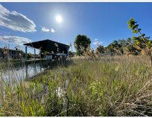Ein Teich mit Schilfbewuchs im Vordergrund, flankiert von Bäumen und Gebäuden im Hintergrund. Im Zentrum steht eine moderne, offene Überdachung, die teilweise über den Teich ragt, bei sonnigem Himmel und leicht ziehenden Wolken.