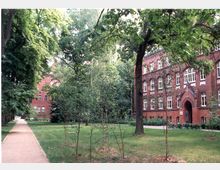 Backsteingebäude mit weißen Fenstern und gewölbtem Eingang, umgeben von einer Grünfläche mit Rasen, Bäumen und einem Gehweg, der durch einen Park führt. Links ist ein weiteres ähnliches Gebäude teils hinter Bäumen sichtbar.