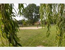 Ein Volleyballfeld mit einem gelben Netz auf einer Sandfläche, umgeben von einer Wiese und Baumästen im Vordergrund. Im Hintergrund befindet sich ein großer Baum sowie einzelne Gebäude und Weidezäune.