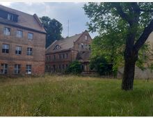 Backsteingebäude mit mehreren Etagen und schrägen Dächern in einem verwilderten Hof mit hohem Gras und einem einzelnen Baum im Vordergrund. Die Fenster der Gebäude wirken teils beschädigt, und das Gelände wirkt verlassen.