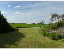 Weite Wiesenlandschaft mit frisch gemähtem Rasen im Vordergrund, umgeben von Büschen und Bäumen an den Rändern. Im Hintergrund liegen grüne Felder und sanfte Hügel unter einem leicht bewölkten Himmel.