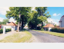 Gepflasterte Straße mit Bäumen auf beiden Seiten, die Schatten spenden, flankiert von kleinen Gebäuden mit roten Ziegeldächern. Im Hintergrund sind weitere Häuser und blauer Himmel mit einigen Wolken sichtbar.