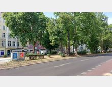 Straßenansicht mit mehrstöckigen Wohnhäusern im Hintergrund, einer von Bäumen gesäumten Grünfläche und einem breiten Asphaltfahrstreifen im Vordergrund. Auf der Grünfläche befindet sich ein Werbekasten mit Plakaten; vereinzelt sind Menschen zu sehen.