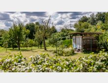 Grüne Gartenlandschaft mit Obstbäumen, Wiese und einem kleinen, überdachten Wohnwagen mit Holzverkleidung. Im Vordergrund blühende Blumenbeete, im Hintergrund dichte Büsche und Bäume unter einem bewölkten Himmel.