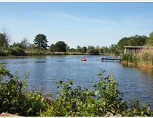 Ein idyllischer See mit klarem Wasser, umgeben von Schilf und Bäumen im Hintergrund. Rechts im Bild befindet sich ein hölzerner Steg, von dem Personen ins Wasser springen, während ein kleines Paddelboot auf dem See schwimmt.