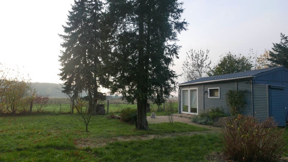 Blick auf einen ländlichen Garten mit Rasenfläche, großen Nadelbäumen und einer kleinen gepflasterten Terrasse. Rechts steht ein eingeschossiges, blau-graues Holzhaus mit Schiebetür und kleinem Fenster; dahinter sind Felder und ein Zaun zu sehen.
