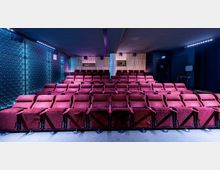 Ein kleiner Kinosaal mit Reihen aus roten, gepolsterten Sitzen, umgeben von dunkelblauen Wänden mit dekorativen Mustern und Holzpanelen. Im Hintergrund sind eine Glastür, eine Säule und Wandbeleuchtung zu sehen.