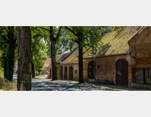 Eine ruhige Straße mit alten Backsteingebäuden, die mit bogenförmigen Holztoren versehen sind. Über den Gebäuden ein leicht bemoostes Ziegeldach, im Vordergrund stehen große Bäume, die Schatten spenden.