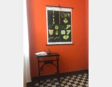 Ein kleiner Raum mit orangefarbenen Wänden, einem schwarz-weiß karierten Boden, einem antiken Tisch mit Nähmaschinen-Untergestell, auf dem ein Stapel Papier und ein dekorativer Gegenstand stehen. An der Wand hängt ein botanisches Lehrposter mit Illustrationen von Laubmoosen und Farnen.