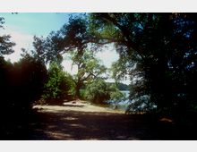 Ein sandiger Uferbereich mit Schatten spendenden Bäumen, die den Blick auf ein Gewässer freigeben. Im Hintergrund sind dichte grüne Büsche und vereinzelte Liegestühle zu sehen.