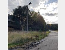Ein abgelegener Weg mit Straßenlaternen führt entlang einer verwilderten Wiese und dichter Bäume; im Hintergrund ist ein Gebäude teilweise sichtbar, während der Himmel von Wolken und Sonnenlicht durchzogen ist.