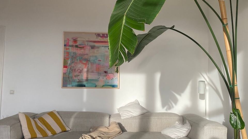 Bright, minimalist living room with a light gray sectional sofa, a low marble coffee table, and an abstract wall painting on a white wall. A large potted tropical plant with broad leaves dominates the right side, beneath a modern ceiling light and beside a slim floor lamp.