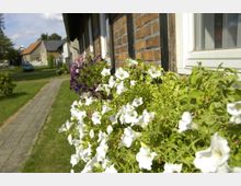 Eine Straße mit Gärten, auf der rechten Seite eine Hausfassade aus Backstein mit Fenstern und Blumenkästen voller weißer und violetter Blüten; im Hintergrund stehen weitere Häuser und ein Gehweg verläuft entlang der grünen Rasenflächen.