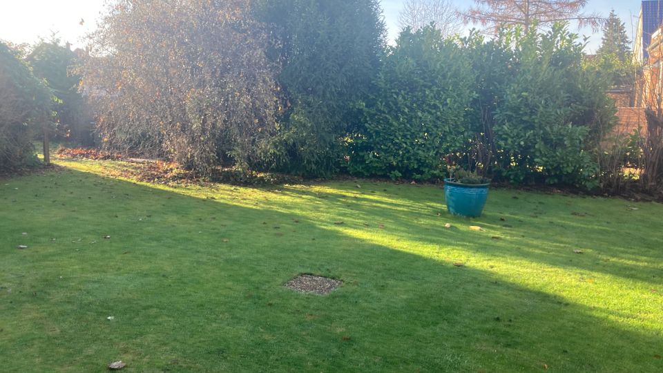 Rasenfläche in einem Garten, umgeben von dichten Büschen und Bäumen. Vorne steht ein großer blauer Blumentopf, im Hintergrund sind vereinzelt Dächer und ein kahler Baum zu sehen.