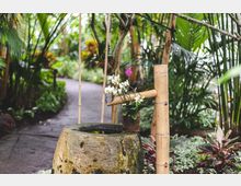 Ein tropischer Garten mit dichtem Grün und blühenden Pflanzen. Im Vordergrund steht ein traditionelles Bambus-Wasserspiel neben einem steinernen Becken, dekoriert mit weißen Orchideen.