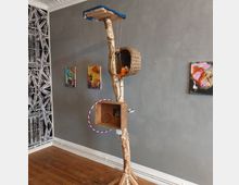 Ein Raum mit grauer Wand, an der abstrakte Gemälde hängen. Im Vordergrund steht ein kunstvoll gestalteter Kratzbaum aus Birkenholz mit einer Plattform oben, einem Korb in der Mitte mit einem orangefarbenen Stofftier und einem am Baum befestigten Holzfach. Der Boden ist aus Holz, und an der linken Wand befindet sich schwarz-weiße Muster-Dekoration.