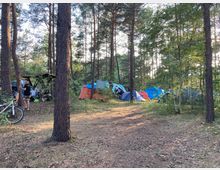 Zeltlager in einem lichten Wald mit Kiefern, mehreren bunten Zelten und verstreutem Campingzubehör. Im Vordergrund steht ein Fahrrad, und eine Person bewegt sich zwischen den Bäumen.