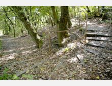 Ein gewundener Waldpfad mit einer steinernen Treppe und einem einfachen Metallgeländer auf der rechten Seite, umgeben von dichtem Laubwerk und am Boden liegenden Blättern. Die Szene zeigt einen sonnigen, natürlichen Waldweg in hügeligem Gelände.