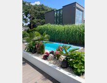 Ein moderner Garten mit einem rechteckigen Pool, umgeben von Pflanzen wie Palmen und Ziergräsern. Im Hintergrund steht ein anthrazitfarbenes Gebäude mit großen Fenstern, während der Vordergrund von dekorativen weißen Steinen und künstlichen Flamingo-Figuren geprägt ist.