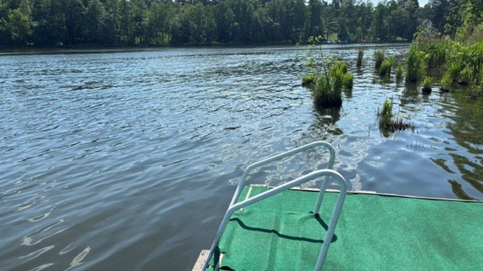 Blick von einem kleinen Steg mit grünem Belag und Metallleiter auf einen ruhigen See. Am Ufer stehen Bäume und Schilf, im Wasser sind einzelne Grasbüschel zu sehen, darüber ein Himmel mit wenigen Wolken.