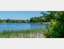 Ein See mit ruhiger Wasseroberfläche, umgeben von Schilf und dichten grünen Bäumen. Im Hintergrund ist ein einzelnes Haus mit rotem Dach sichtbar, und ein Ruderboot befindet sich auf dem Wasser.