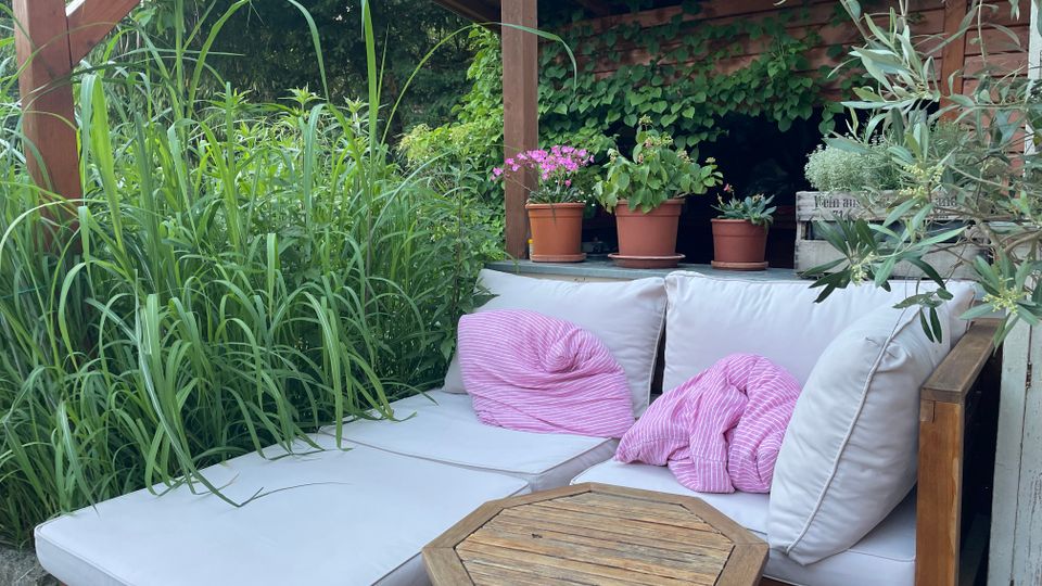 Gemütliche Sitzecke im Garten mit weiß gepolsterter Holz-Lounge und kleinem achteckigen Holztisch, umgeben von hohen Gräsern und Sträuchern. Im Hintergrund steht ein überdachter Holzschuppen mit Efeu und mehreren Blumentöpfen auf einem Regal.