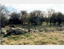 Eine grasbewachsene Landschaft mit verstreuten Steinen und größeren Felsbrocken, umgeben von einer lockeren Ansammlung kahler Bäume und Sträucher. Im Hintergrund sind dichter stehende Bäume zu sehen, die die Szenerie abschließen.