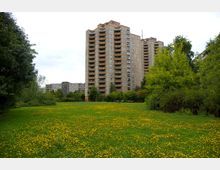 Hochhäuser aus Beton mit Balkonen, umgeben von Bäumen und einer großen Wiese mit gelb blühenden Blumen im Vordergrund. Der Himmel ist bewölkt, und die Umgebung wirkt parkähnlich.