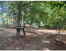 Waldlichtung mit Kletterelementen eines Hochseilgartens, darunter Holzplattformen und Hängebrücken, befestigt an Baumstämmen. Der Boden ist mit Erde bedeckt, umgeben von dichtem Laubwerk und vereinzelten Holzbegrenzungen.