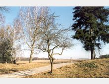 Ländliche Landschaft mit einem schmalen, gepflasterten Weg, der sich durch eine flache Wiese schlängelt. Im Vordergrund stehen kahle Laubbäume und eine große Tanne, dahinter ein weiter Himmel und ferne Baumreihen.