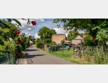 Eine ruhige Dorfstraße mit asphaltiertem Weg, umgeben von Gärten mit Zäunen aus Draht und Holz. Im Hintergrund stehen einfache Gebäude, darunter Scheunen, sowie Bäume und Büsche, die die ländliche Szenerie prägen.