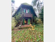 Ein kleines Haus aus dunklem Holz mit grün gestrichenen Fensterläden und einer offenen Tür, bewachsen mit Kletterpflanzen und umgeben von dichtem Wald und einer mit Laub bedeckten Wiese.