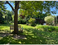 Garten mit einer grünen Rasenfläche und einem großen Baum im Vordergrund, unter dem eine Holzbank steht. Im Hintergrund befinden sich ein Gartenhäuschen, dichte Vegetation und ein kleiner Baum, umgeben von Sträuchern und weiteren Pflanzen.