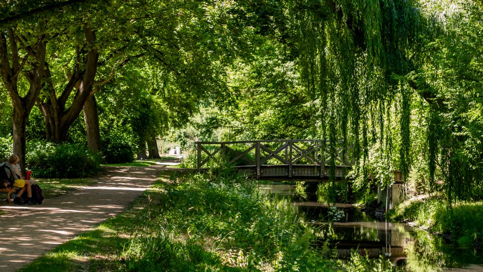 Schattiger Parkweg unter großen Laubbäumen, der entlang eines schmalen Kanals verläuft. Rechts überspannt eine kleine Holzbrücke mit Geländer das Wasser, daneben hängen die Zweige einer Weide über das Ufer.
